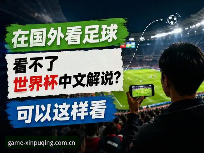 资深用户分享：世界杯观赛受阻背后的地缘政治迷局，在新普京游戏平台看球赛的别样体验